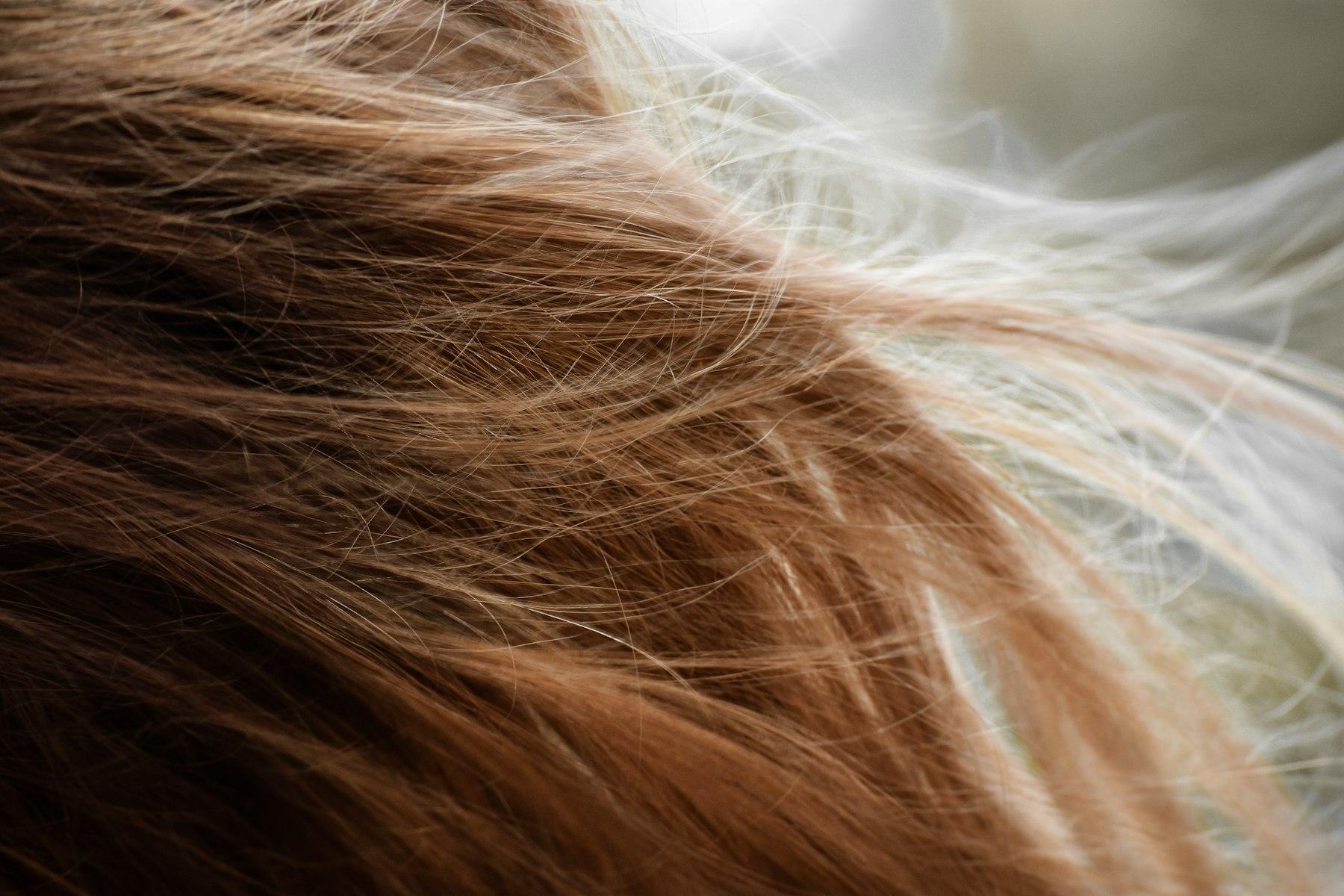 A lock of hair backlit, with stray fibres leaving the axis